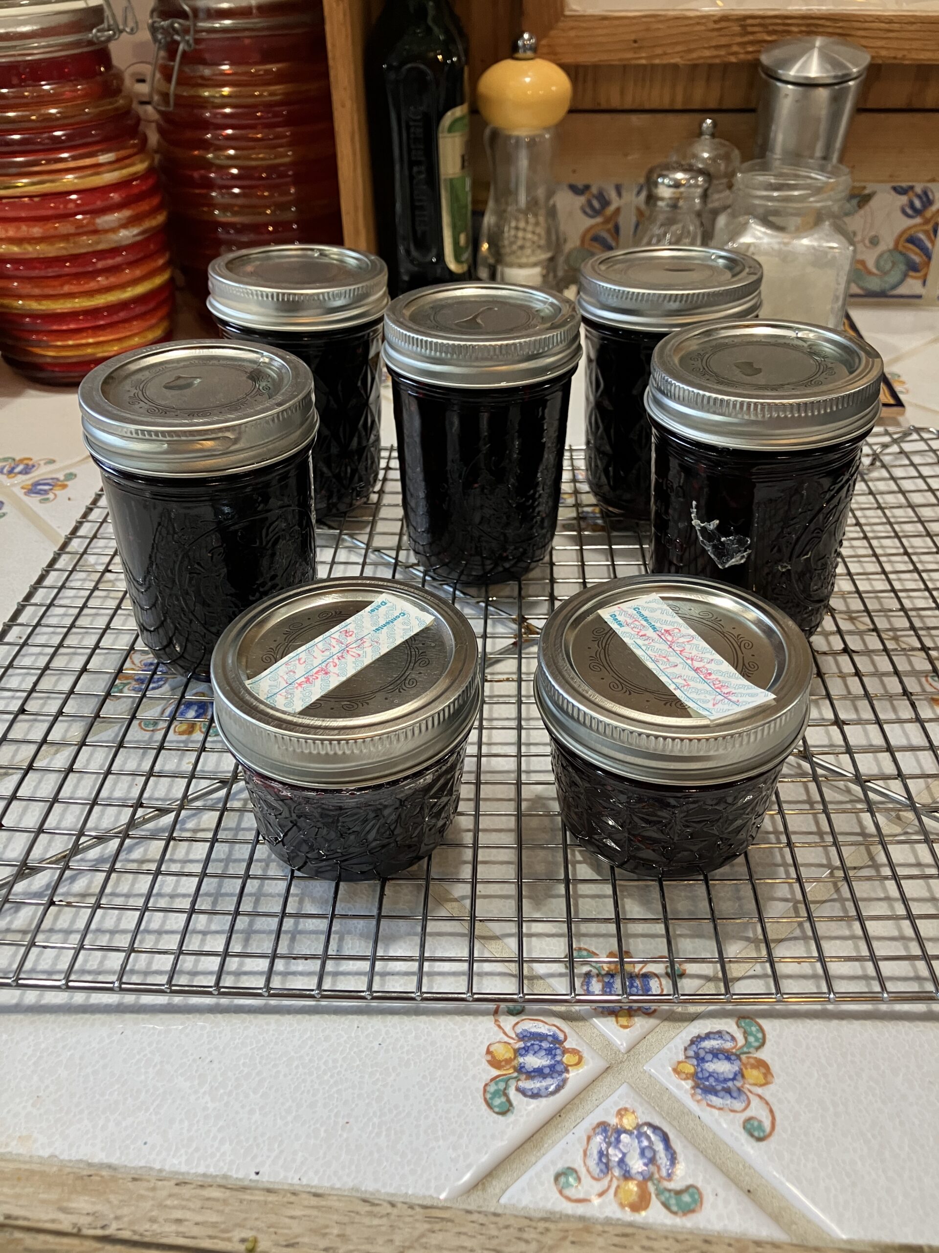 Blackberry bonanza – GroHappy Blackberry bonanza – GroHappy